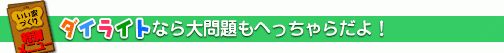 いい家づくり特別メニュー　ダイライト